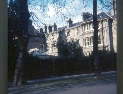 Normansfield Hospital