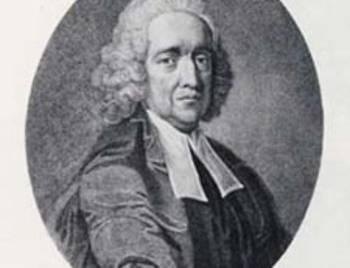 Dr Stephen Hales