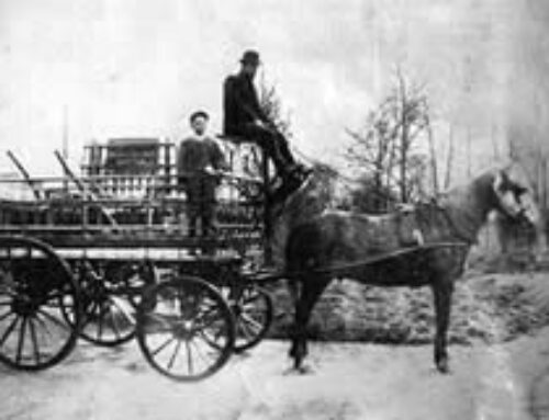 Nurserymen and Market Gardeners