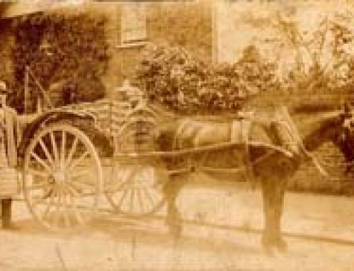The High Street, Hampton Wick, in 1899 beofre trams