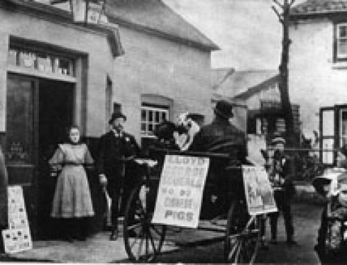 Whitton Pubs