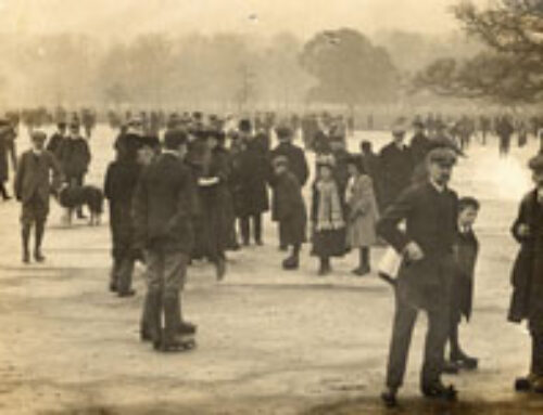 Bushy Park, a Victorian Playground