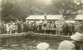 medSwimming1