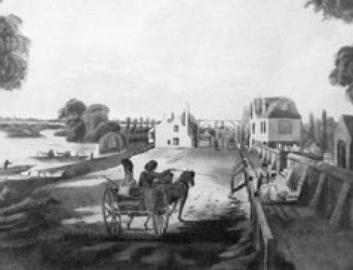 Horses and Horse-drawn Vehicles