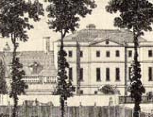 Willow Grange